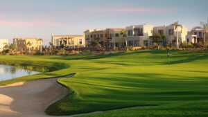 Allegria – Sheikh Zayed